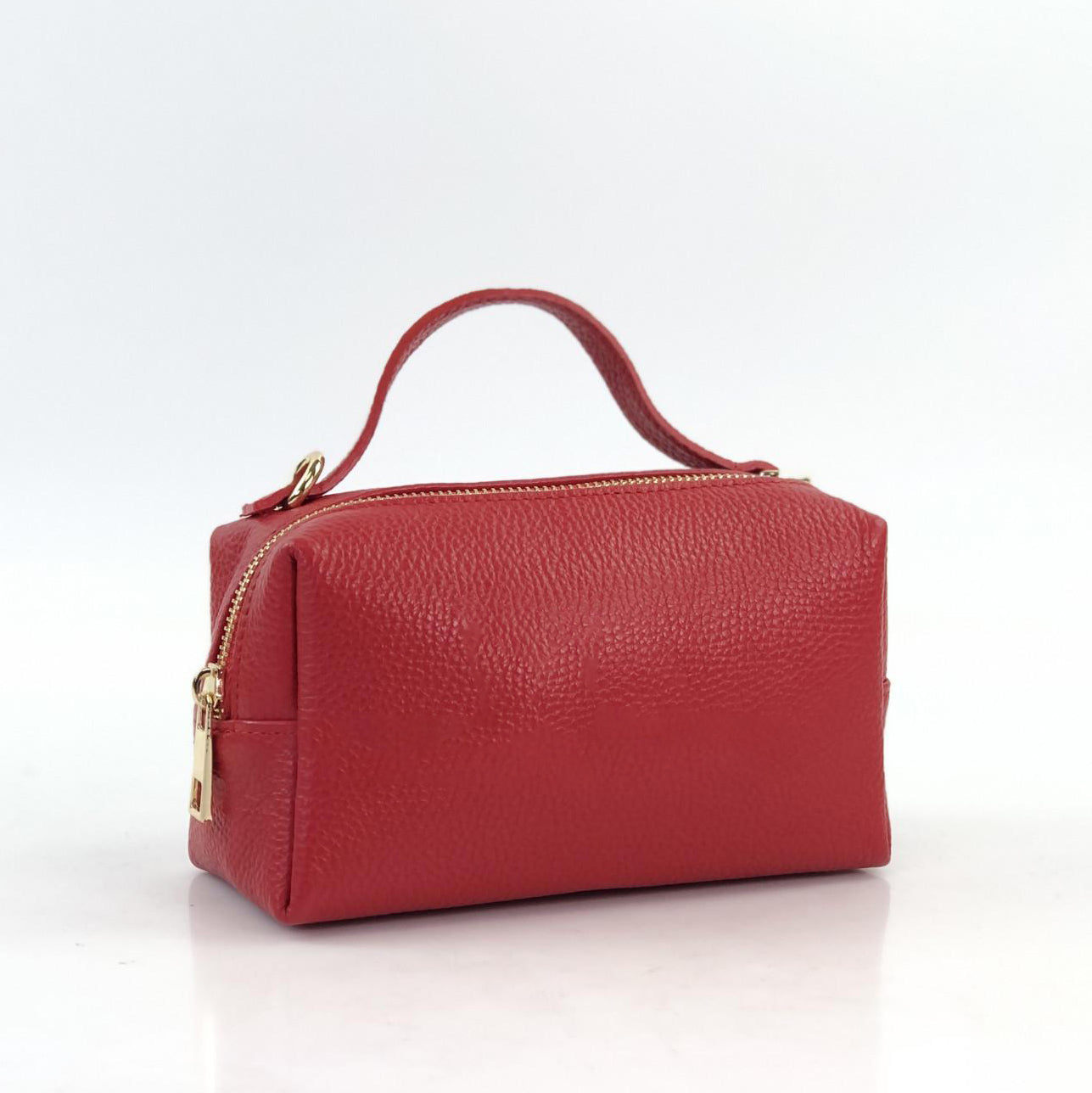 Dahlia Textured Leather Mini Bag
